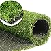 Algopix Similar Product 4 - GL Artificial Grass Turf Customized