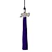 Algopix Similar Product 10 - Class Act Graduation Graduation Tassel