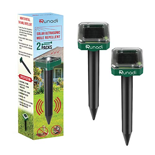 Algopix Similar Product 2 - WLWL A