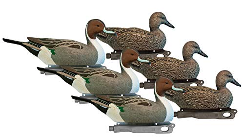 Algopix Similar Product 14 - HARD CORE DECOYS Rugged Series Pintail