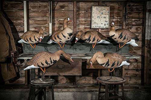 Algopix Similar Product 15 - HARD CORE DECOYS Rugged Series Full
