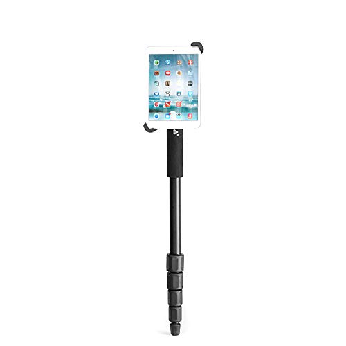 Algopix Similar Product 8 - GRIFITI Nootle Standard to Large Size