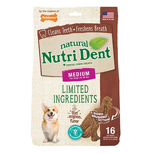 Algopix Similar Product 8 - Nylabone NutriDent Natural Dental Chew