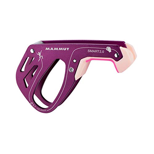 Algopix Similar Product 6 - Mammut Smart 20 individuell Karabiner