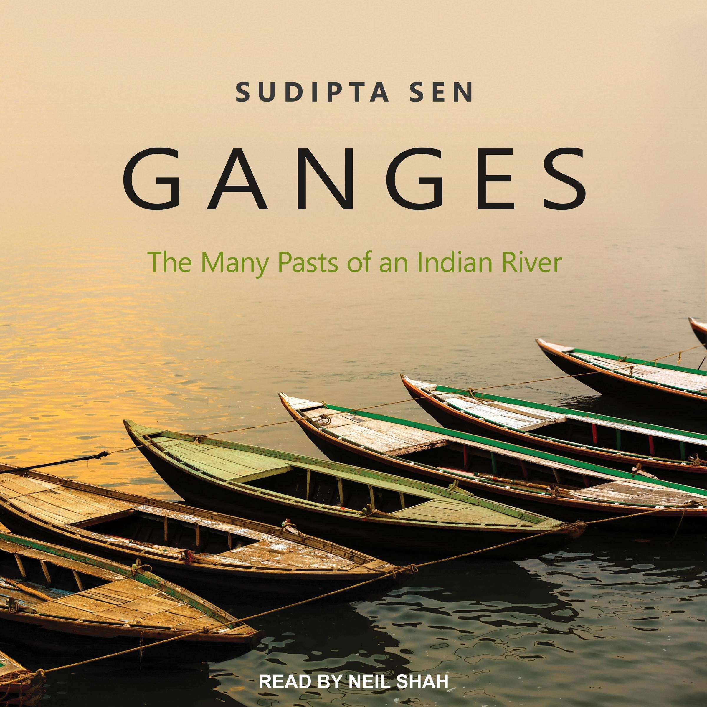 Algopix Similar Product 14 - Ganges The Many Pasts of an Indian