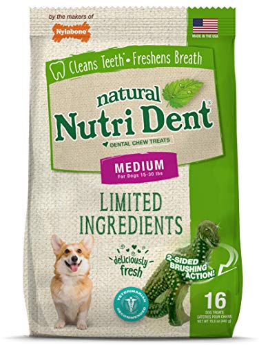 Algopix Similar Product 13 - Nylabone NutriDent Natural Dental Chew
