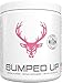 Algopix Similar Product 3 - BUMPED UP  Pregnancy Safe Pre Workout