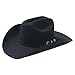 Algopix Similar Product 8 - Stetson Skyline Hat Color Black