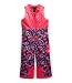 Algopix Similar Product 3 - The North Face Toddler Insulated Bib