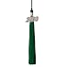 Algopix Similar Product 2 - Class Act Graduation Graduation Tassel