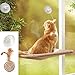 Algopix Similar Product 3 - ZALALOVA Window Cat Seat Cat Window