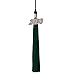 Algopix Similar Product 18 - Class Act Graduation Graduation Tassel