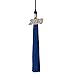 Algopix Similar Product 12 - Class Act Graduation Graduation Tassel