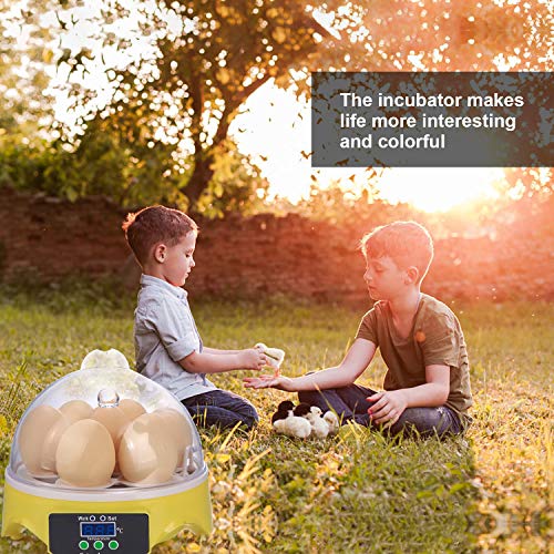 Algopix Similar Product 9 - Currens Egg Incubator New Digital Mini