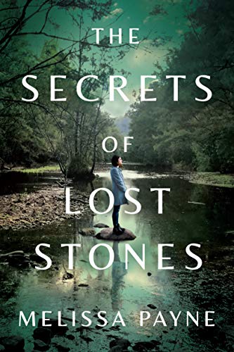 Algopix Similar Product 4 - The Secrets of Lost Stones