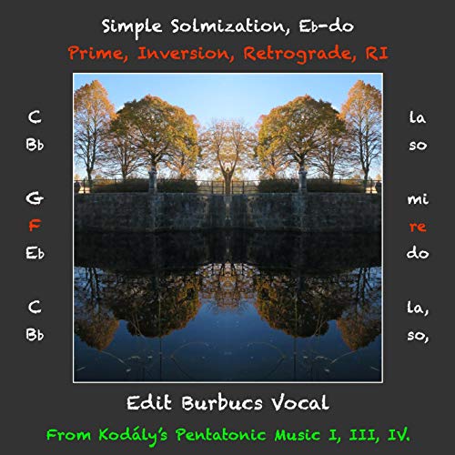 Algopix Similar Product 7 - Song I15 Ebdo Inversion Hungarian