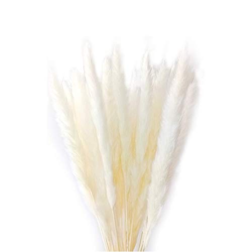 Algopix Similar Product 1 - 60 Stems Natural Dry Flowers Small