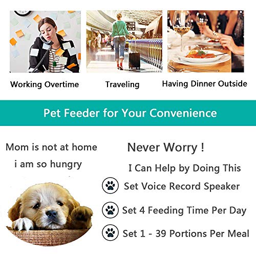 Algopix Similar Product 10 - Xuliyme Automatic Cat Feeder Auto Pet