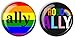 Algopix Similar Product 11 - Gay Pride Ally Pin Back Buttons Set of
