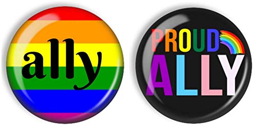 Algopix Similar Product 5 - Gay Pride Ally Pin Back Buttons Set of