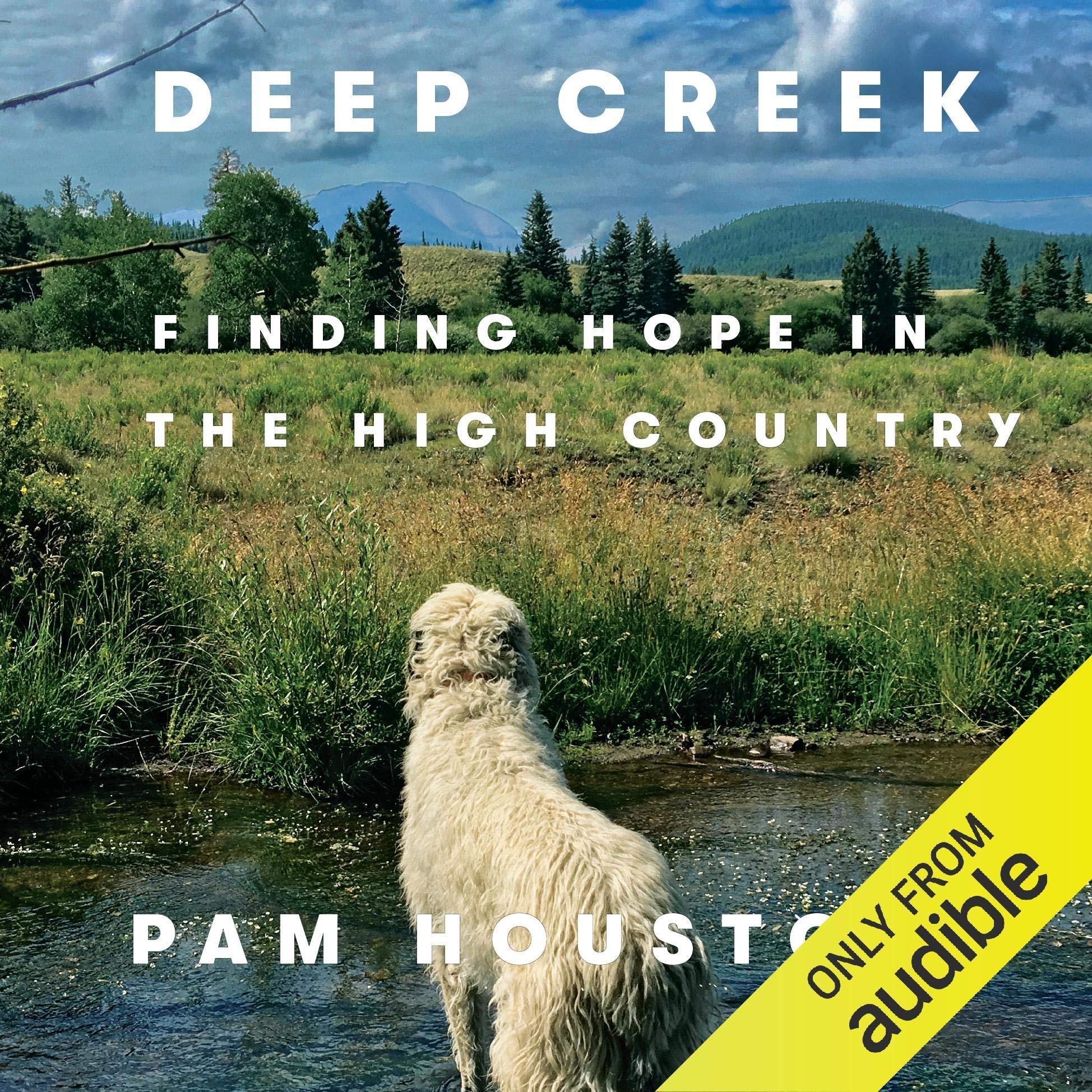 Algopix Similar Product 13 - Deep Creek Finding Hope in the High