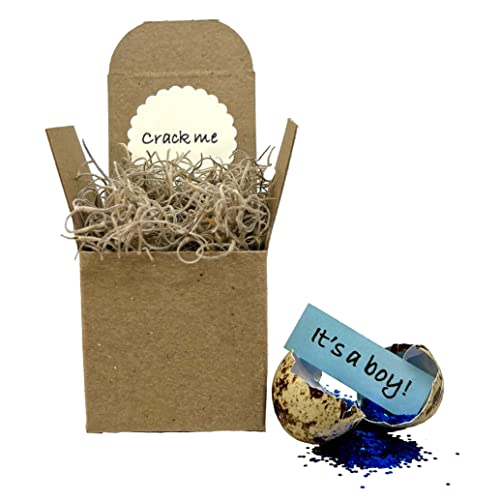 Algopix Similar Product 4 - Surprise Gender Reveal Quail Eggs 