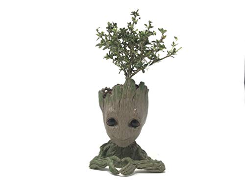 Algopix Similar Product 16 - Bonsai Tree Pot Baby Groot
