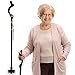 Algopix Similar Product 6 - Campbell Posture Cane for Men  Women 