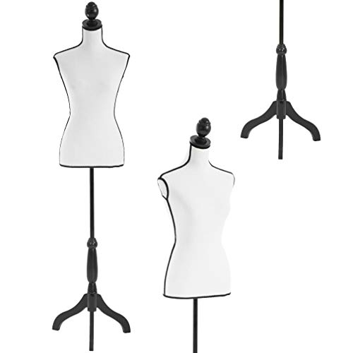 Algopix Similar Product 5 - Manikin 6067Height Adjustable Female