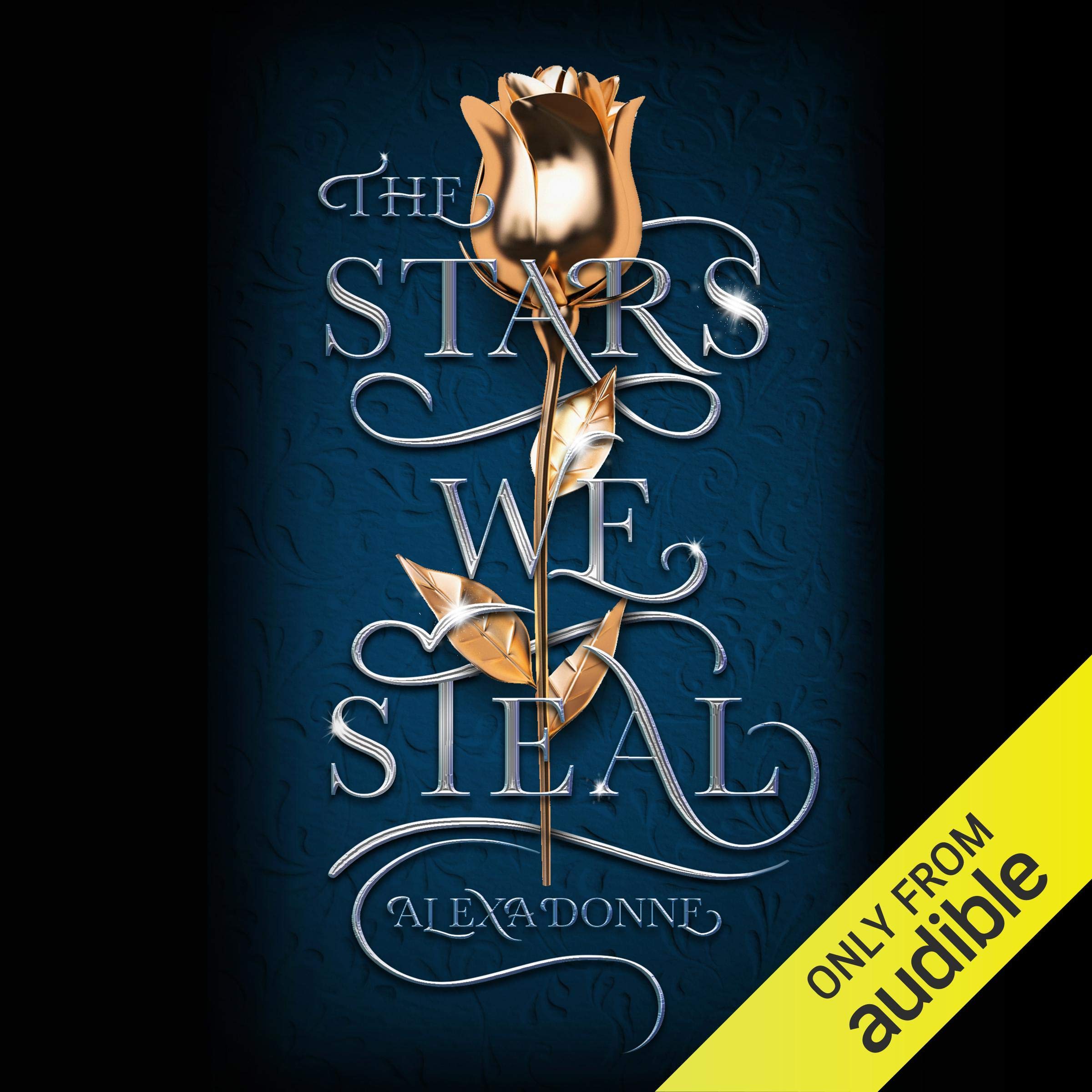 Algopix Similar Product 2 - The Stars We Steal
