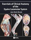 Algopix Similar Product 11 - Essentials of Clinical Anatomy of the