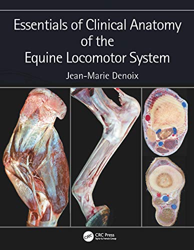 Algopix Similar Product 19 - Essentials of Clinical Anatomy of the