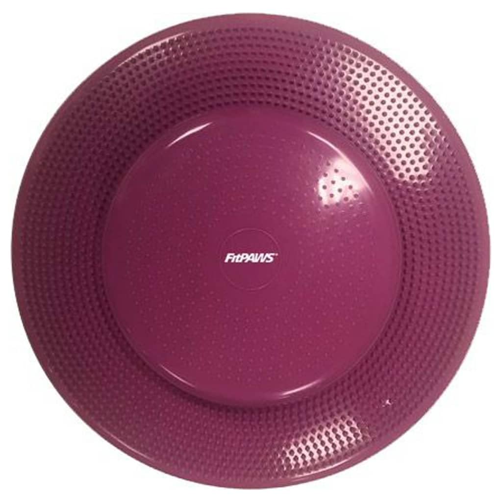 Algopix Similar Product 7 - FitPaws Dog Balance Disc  22