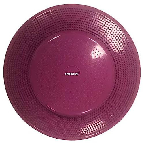 Algopix Similar Product 14 - FitPaws Dog Balance Disc  22