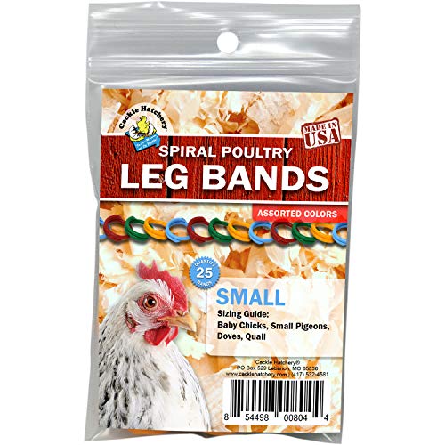 Algopix Similar Product 13 - Cackle Hatchery Spiral Poultry Leg