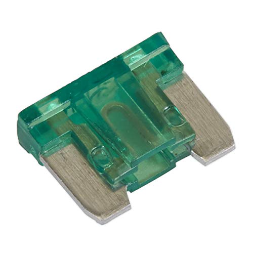 Algopix Similar Product 3 - Sealey MIBF30 30A Automotive Micro