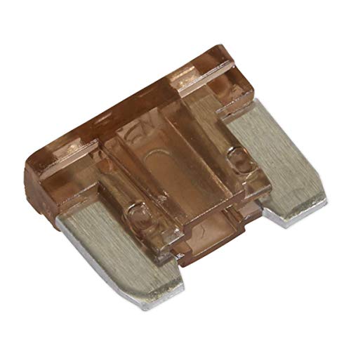 Algopix Similar Product 17 - Sealey MIBF75 75A Automotive Micro