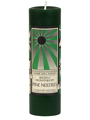 Algopix Similar Product 17 - Sunbeam Candles Beeswax Pine Needles