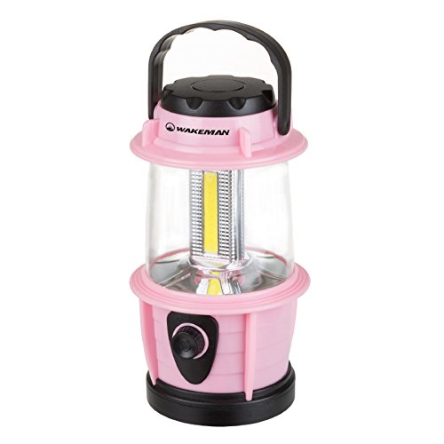 Algopix Similar Product 16 - Wakeman Outdoors M570038 Adjustable LED