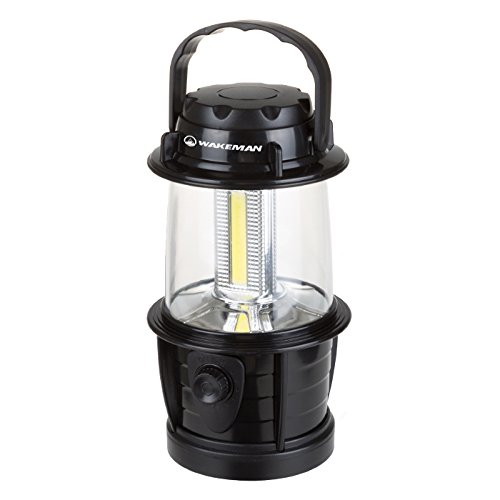 Algopix Similar Product 7 - Wakeman Outdoors M570037 Adjustable LED