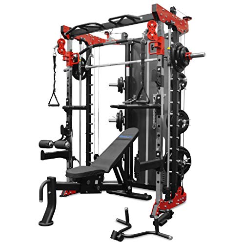 Algopix Similar Product 19 - Reeplex Functional Trainer Smith