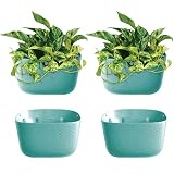Algopix Similar Product 14 - WallyGrow Eco Wall Planter Create a