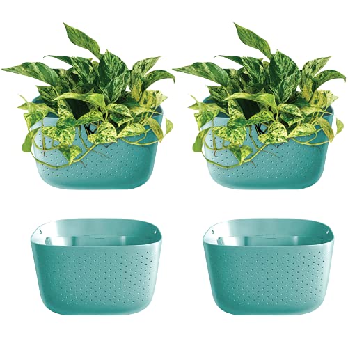 Algopix Similar Product 11 - WallyGrow Eco Wall Planter Create a
