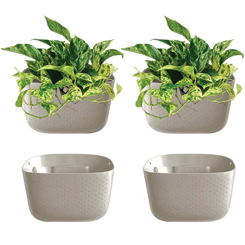 Algopix Similar Product 19 - WallyGrow Eco Wall Planter Create a