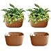 Algopix Similar Product 4 - WallyGrow Eco Wall Planter Create a