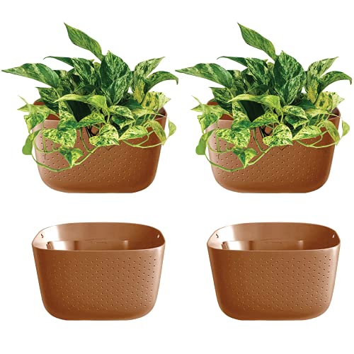 Algopix Similar Product 6 - WallyGrow Eco Wall Planter Create a