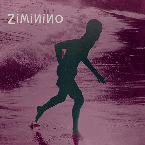 Algopix Similar Product 9 - Ziminino