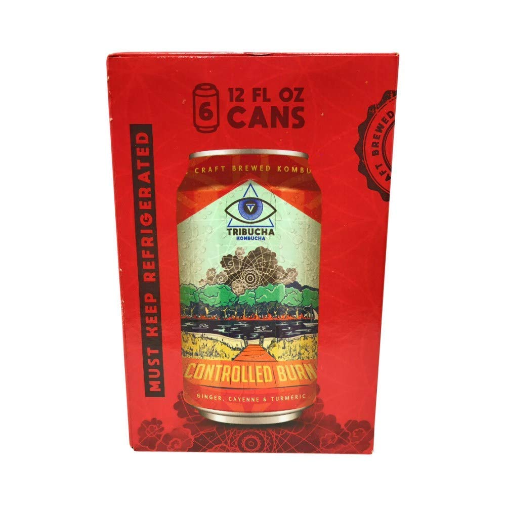 Algopix Similar Product 5 - TRIBUCHA Controlled Burn Kombucha 6pk