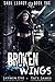 Algopix Similar Product 17 - Broken Wings A Dark High School