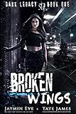 Algopix Similar Product 12 - Broken Wings A Dark High School